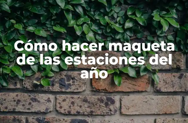 Cómo Hacer Maqueta de las Estaciones Del Año