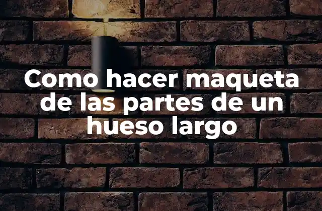 Como hacer maqueta de las partes de un hueso largo