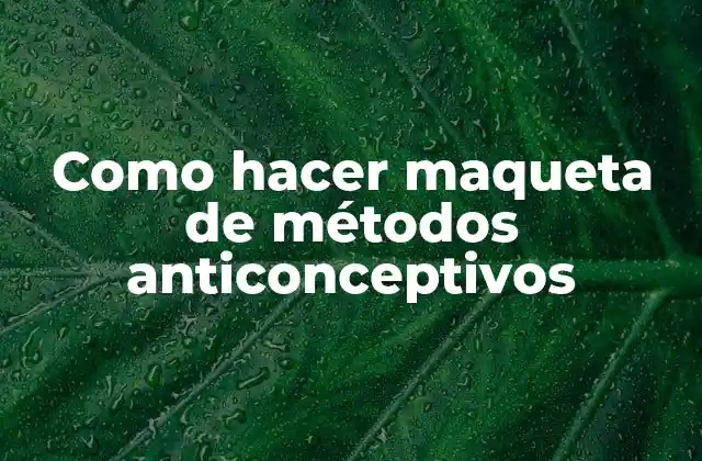 Como Hacer Maqueta de Métodos Anticonceptivos