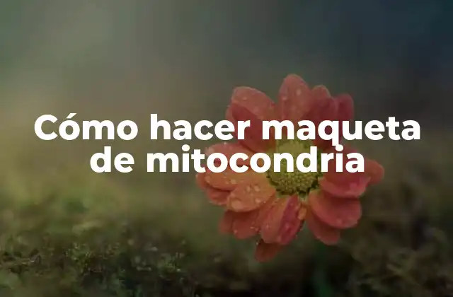 ¿Qué es una mitocondria?