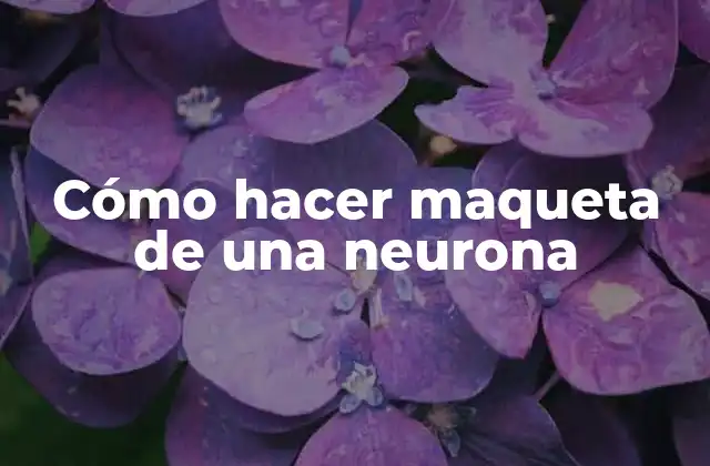 Cómo Hacer Maqueta de una Neurona