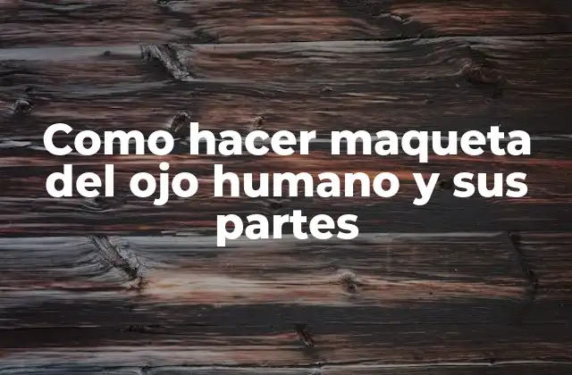 Como Hacer Maqueta Del Ojo Humano y Sus Partes