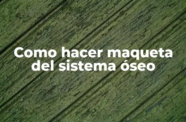 Como Hacer Maqueta Del Sistema Óseo