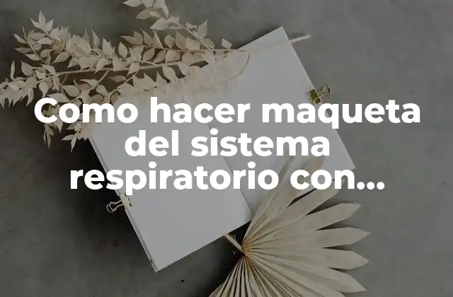 Como Hacer Maqueta Del Sistema Respiratorio con Material Reciclado