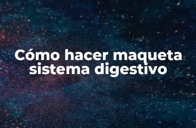 Cómo Hacer Maqueta Sistema Digestivo