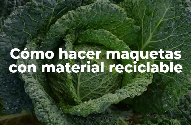 Cómo Hacer Maquetas con Material Reciclable 2 Cómo hacer maquetas con material reciclable