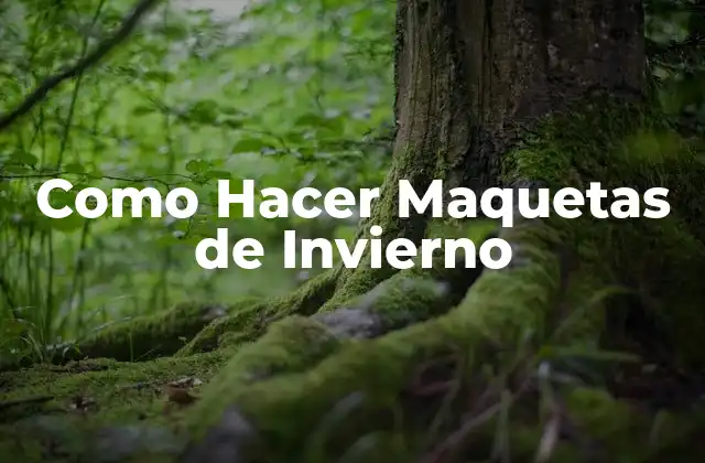 ¿Qué son las Maquetas de Invierno?