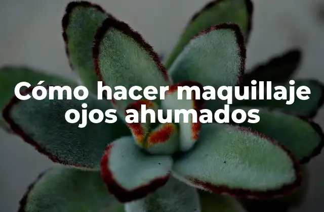 Cómo Hacer Maquillaje Ojos Ahumados