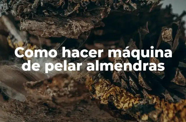 Como Hacer Máquina de Pelar Almendras