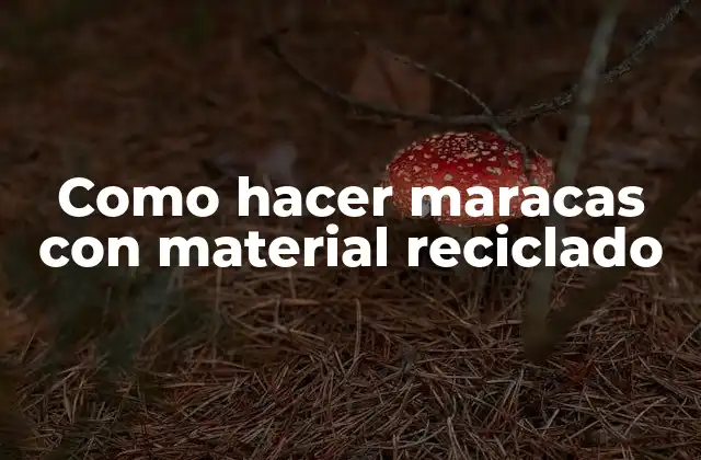 Como Hacer Maracas con Material Reciclado