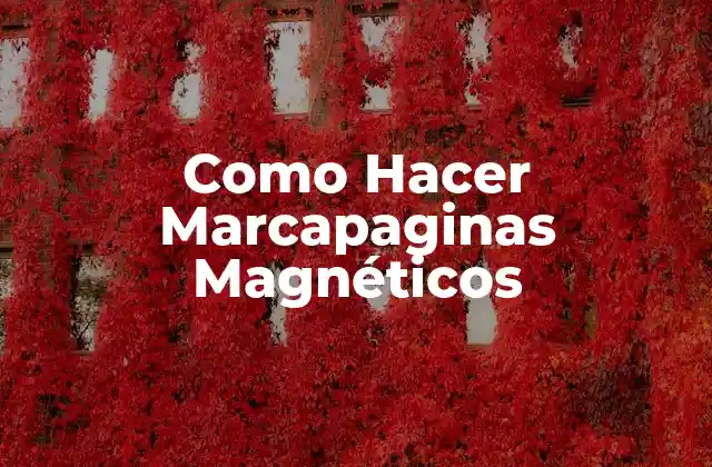 Como Hacer Marcapaginas Magnéticos