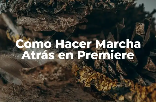 Como Hacer Marcha Atrás en Premiere