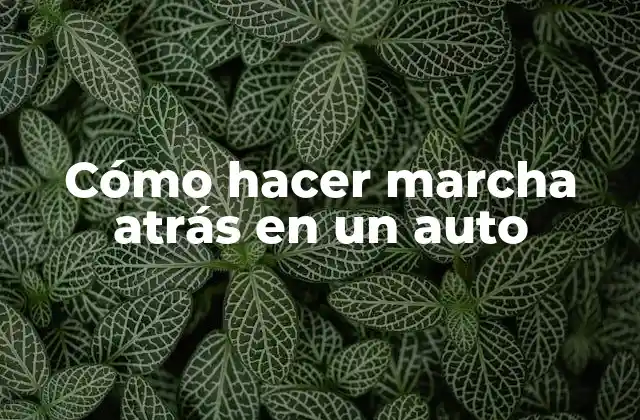 Cómo Hacer Marcha Atrás en un Auto