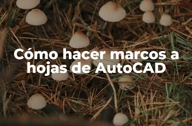 Cómo Hacer Marcos a Hojas de Autocad