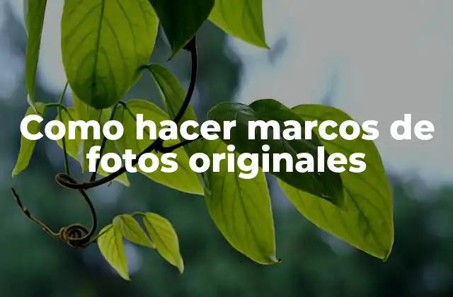¿Qué es un marco de foto original?