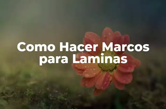 Como Hacer Marcos para Laminas