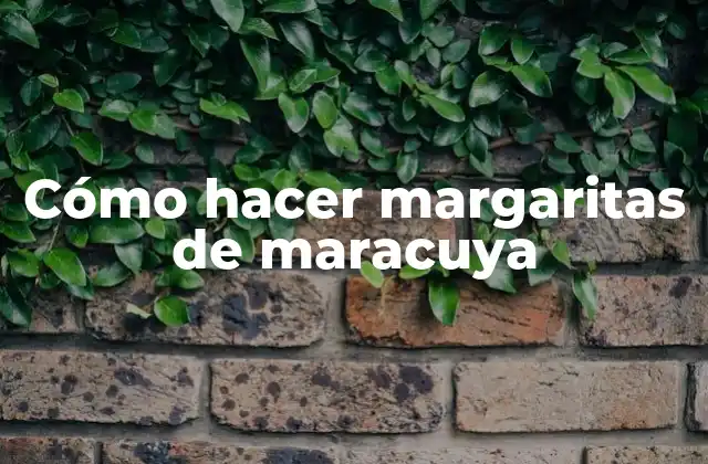 Cómo Hacer Margaritas de Maracuya