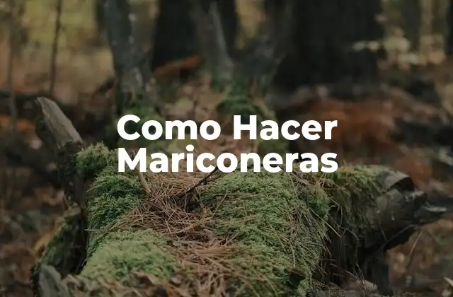 Como Hacer Mariconeras