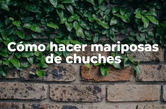 Cómo Hacer Mariposas de Chuches