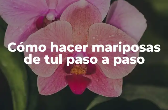 Cómo Hacer Mariposas de Tul Paso a Paso