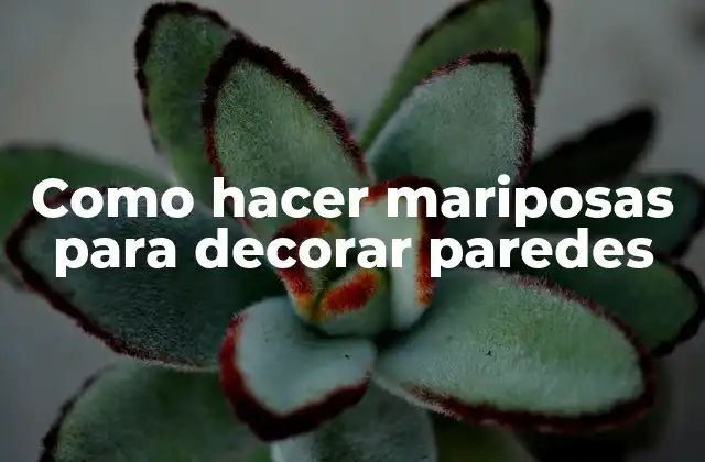 Como Hacer Mariposas para Decorar Paredes
