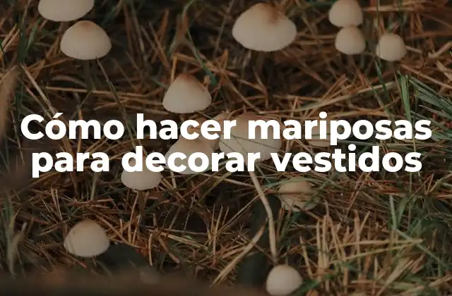 Cómo Hacer Mariposas para Decorar Vestidos