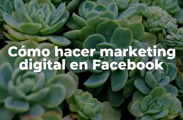 Cómo Hacer Marketing Digital en Facebook