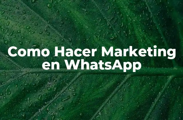 Como Hacer Marketing en Whatsapp 2 Qué es el Marketing en WhatsApp y Cómo se Usa
