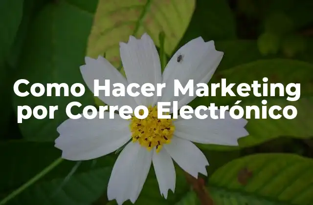 Como Hacer Marketing por Correo Electrónico