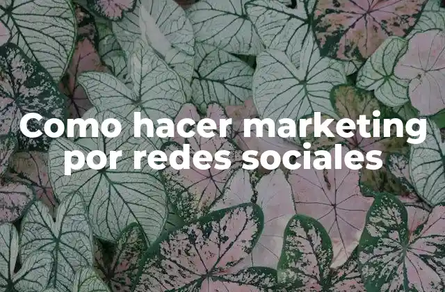 Como Hacer Marketing por Redes Sociales