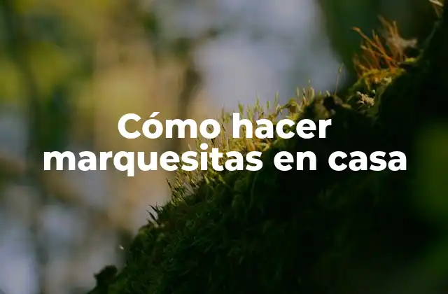 ¿Qué son las marquesitas y cómo se usan?