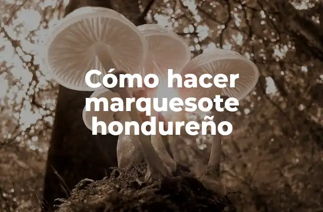 Cómo Hacer Marquesote Hondureño