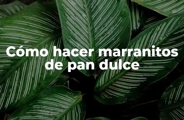 Cómo hacer marranitos de pan dulce