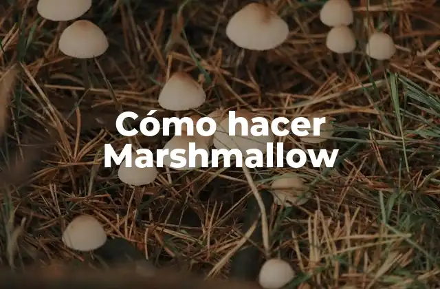 Cómo Hacer Marshmallow