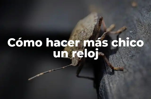 Cómo Hacer Más Chico un Reloj