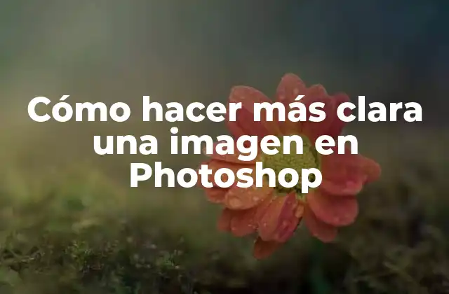 Cómo Hacer Más Clara una Imagen en Photoshop