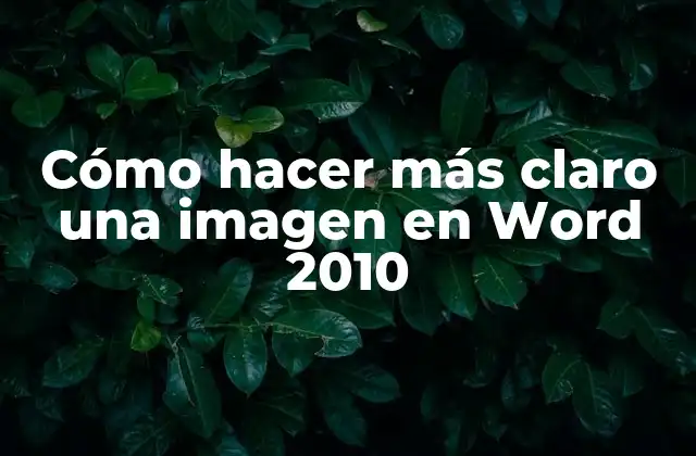 Cómo Hacer Más Claro una Imagen en Word 2010