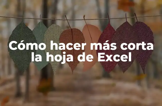 Cómo Hacer Más Corta la Hoja de Excel