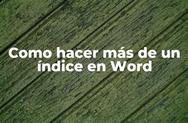 Como Hacer Más de un Índice en Word