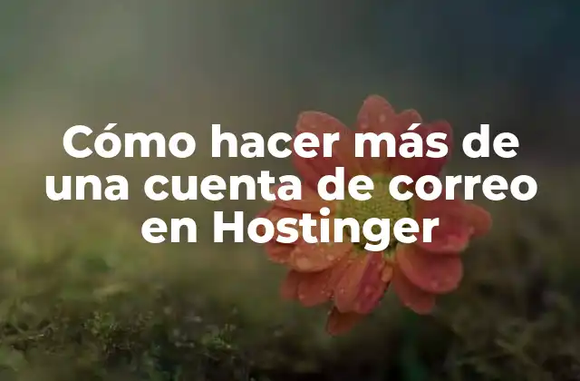 Cómo Hacer Más de una Cuenta de Correo en Hostinger