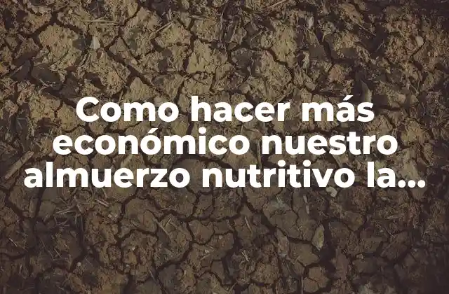 Como Hacer Más Económico Nuestro Almuerzo Nutritivo la Lasaña