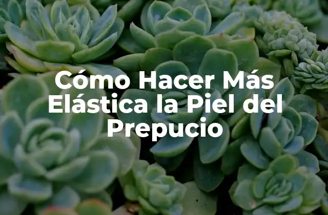 Cómo Hacer Más Elástica la Piel Del Prepucio 2 Cómo Hacer Más Elástica la Piel del Prepucio