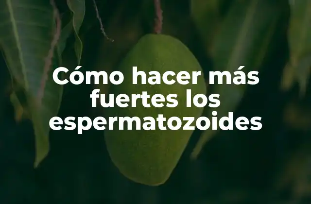 Cómo Hacer Más Fuertes los Espermatozoides 2 ¿Qué son los espermatozoides y para qué sirven?
