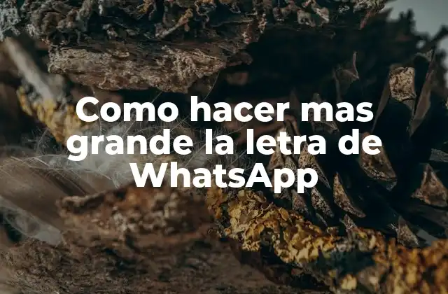 Como Hacer mas Grande la Letra de Whatsapp