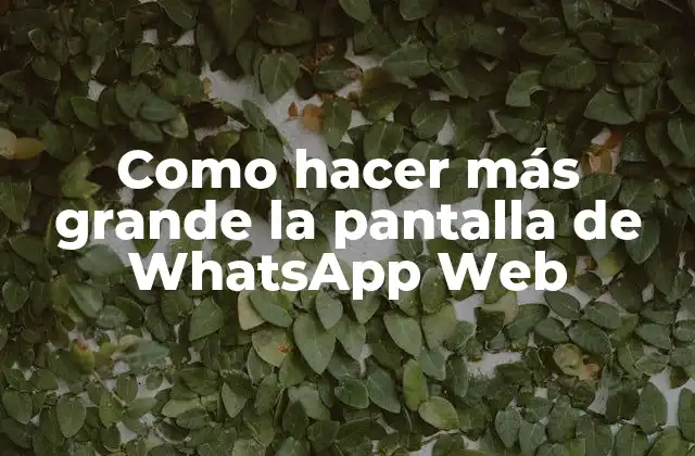 Como Hacer Más Grande la Pantalla de Whatsapp Web