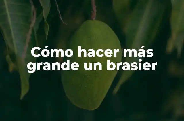 Cómo Hacer Más Grande un Brasier