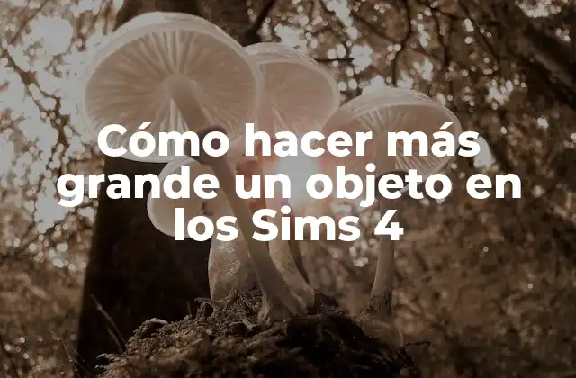 Cómo Hacer Más Grande un Objeto en los Sims 4