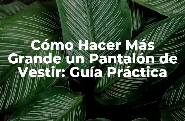 Cómo Hacer Más Grande un Pantalón de Vestir: Guía Práctica