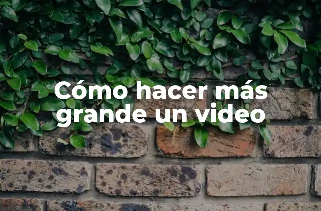 Cómo Hacer Más Grande un Video 2 Cómo hacer más grande un video