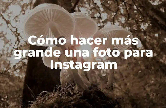 Cómo Hacer Más Grande una Foto para Instagram